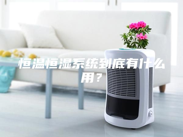 恒溫恒濕系統(tǒng)到底有什么用?