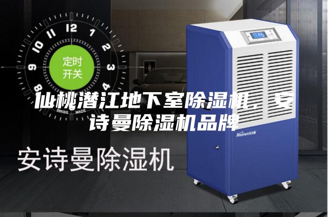 仙桃潛江地下室除濕機(jī)，安詩曼除濕機(jī)品牌