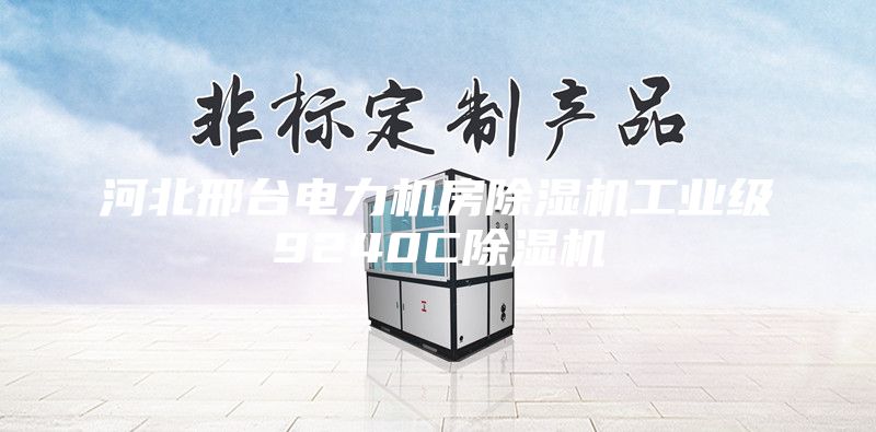 河北邢臺電力機(jī)房除濕機(jī)工業(yè)級9240C除濕機(jī)