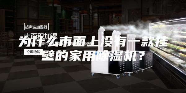 為什么市面上沒有一款掛壁的家用除濕機？