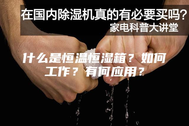 什么是恒溫恒濕箱？如何工作？有何應用？