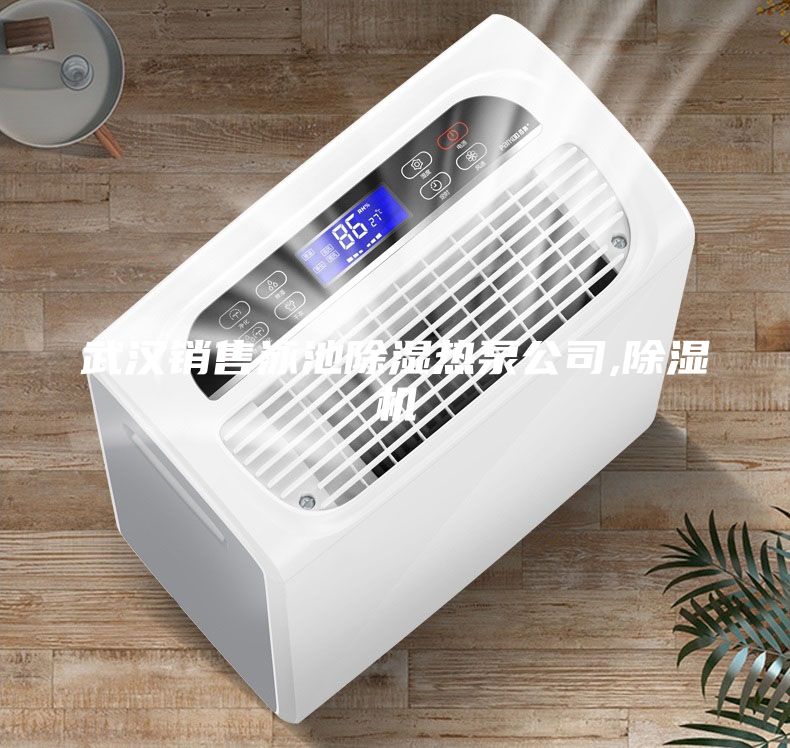 武漢銷(xiāo)售泳池除濕熱泵公司,除濕機(jī)