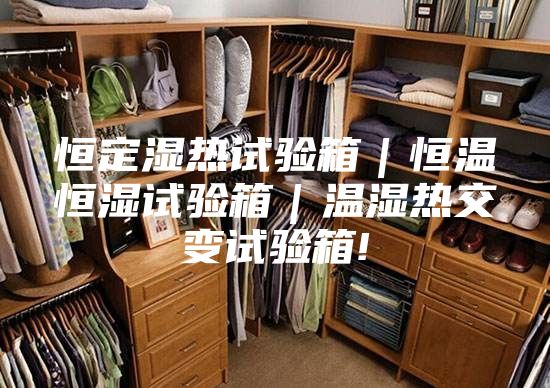 恒定濕熱試驗(yàn)箱｜恒溫恒濕試驗(yàn)箱｜溫濕熱交變試驗(yàn)箱!