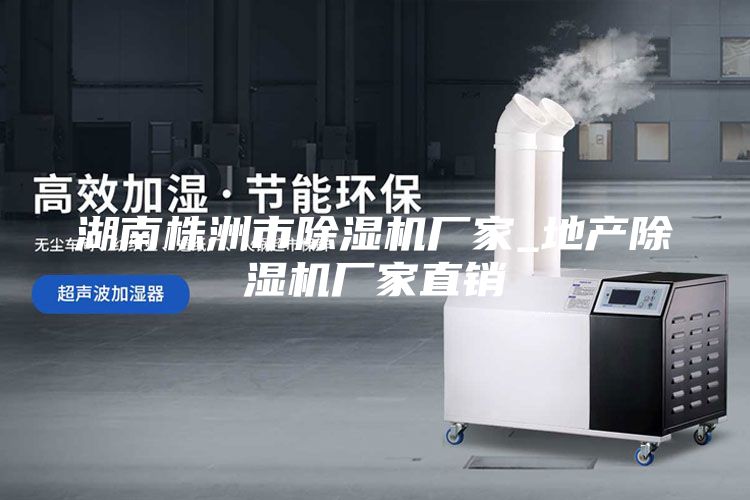湖南株洲市除濕機廠家_地產(chǎn)除濕機廠家直銷