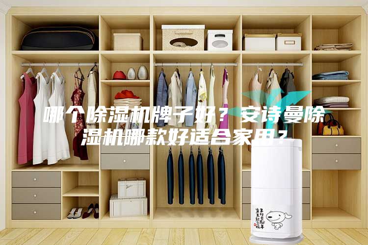 哪個(gè)除濕機(jī)牌子好？安詩(shī)曼除濕機(jī)哪款好適合家用？