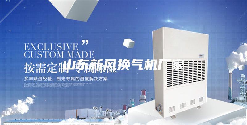 山東新風(fēng)換氣機廠家