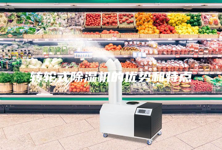 轉(zhuǎn)輪式除濕機(jī)的優(yōu)勢和特點