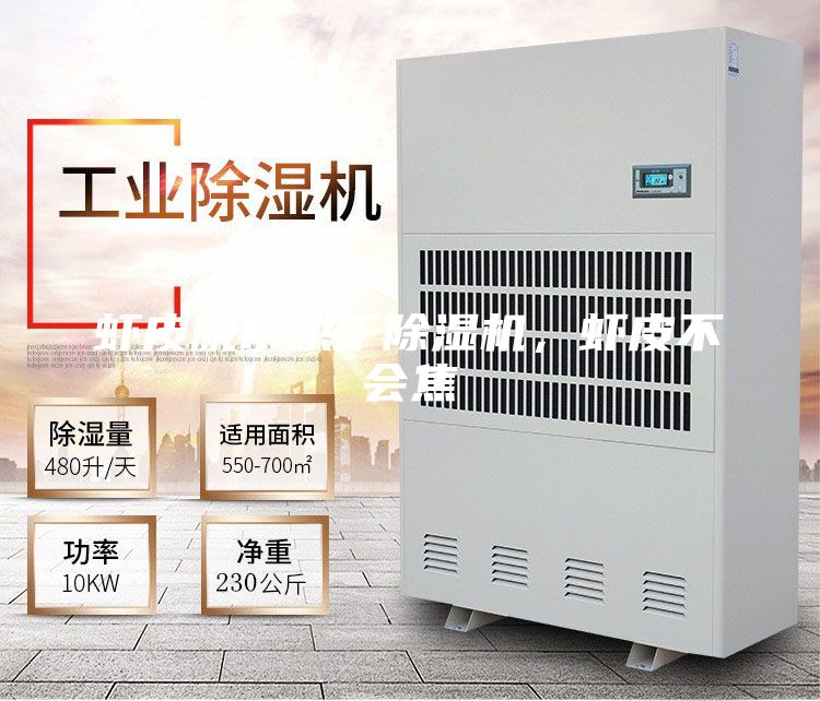 蝦皮脫水烘干除濕機(jī),蝦皮不會(huì)焦