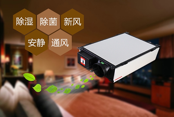 回南天如何防潮濕?選對除濕機高枕無憂