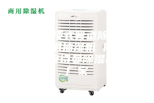 武漢吊頂式管道除濕機,游泳館用抽濕機 除濕防潮設備安詩曼除濕機生產廠家