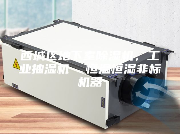 西城區(qū)地下室除濕機(jī)，工業(yè)抽濕機(jī)  恒溫恒濕非標(biāo)機(jī)器