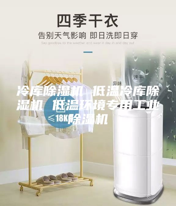 冷庫(kù)除濕機(jī) 低溫冷庫(kù)除濕機(jī) 低溫環(huán)境專用工業(yè)除濕機(jī)