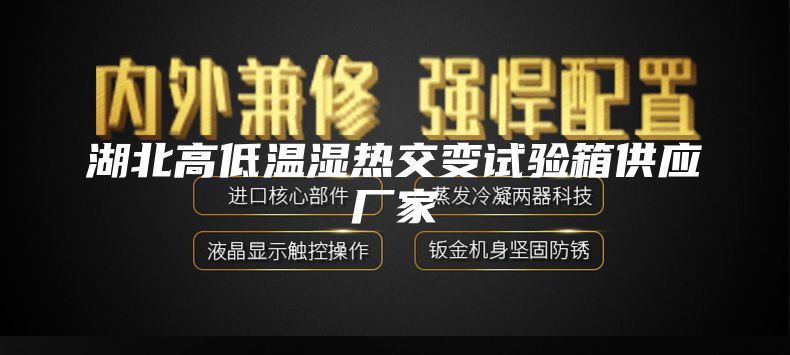 湖北高低溫濕熱交變試驗箱供應廠家