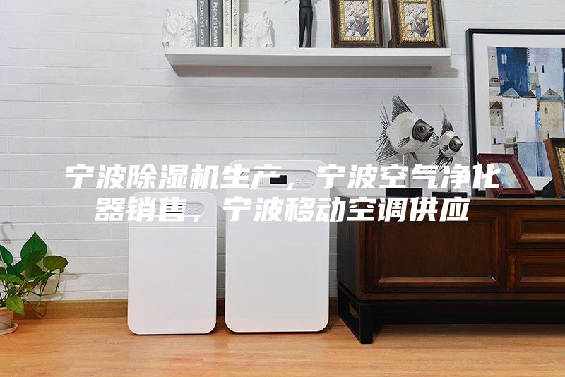 寧波除濕機(jī)生產(chǎn)，寧波空氣凈化器銷(xiāo)售，寧波移動(dòng)空調(diào)供應(yīng)