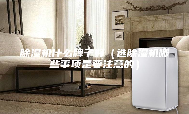 除濕機(jī)什么牌子好（選除濕機(jī)哪些事項(xiàng)是要注意的）