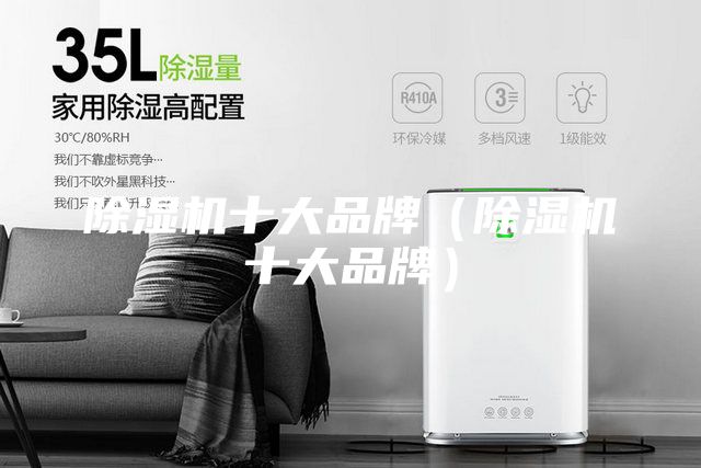 除濕機(jī)十大品牌(除濕機(jī)十大品牌)