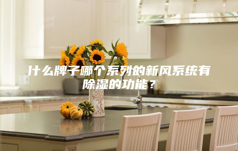 什么牌子哪個系列的新風(fēng)系統(tǒng)有除濕的功能?