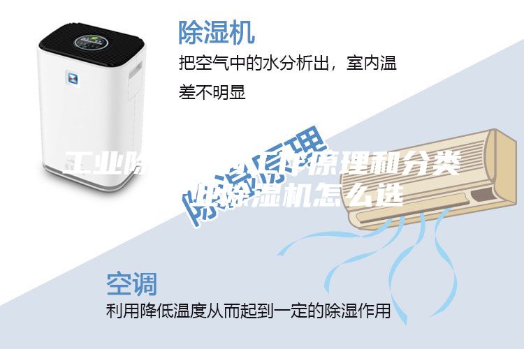 工業除濕機的工作原理和分類，行業除濕機怎么選