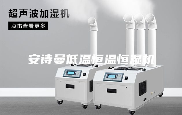 安詩(shī)曼低溫恒溫恒濕機(jī)