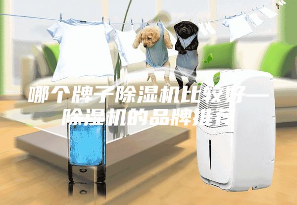 哪個牌子除濕機比較好—除濕機的品牌推薦