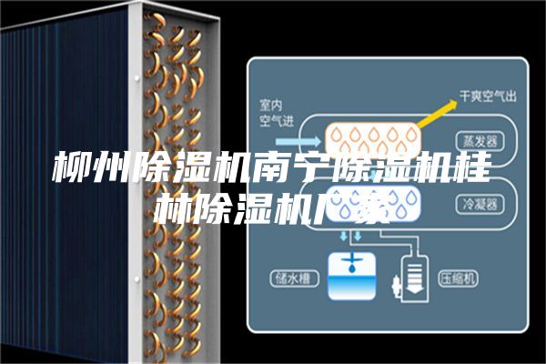柳州除濕機(jī)南寧除濕機(jī)桂林除濕機(jī)廠家