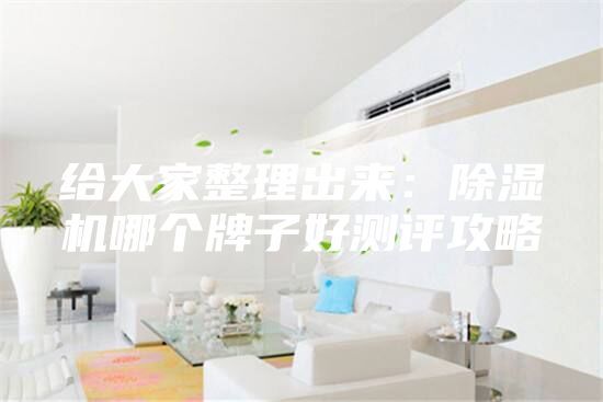 給大家整理出來：除濕機(jī)哪個(gè)牌子好測(cè)評(píng)攻略