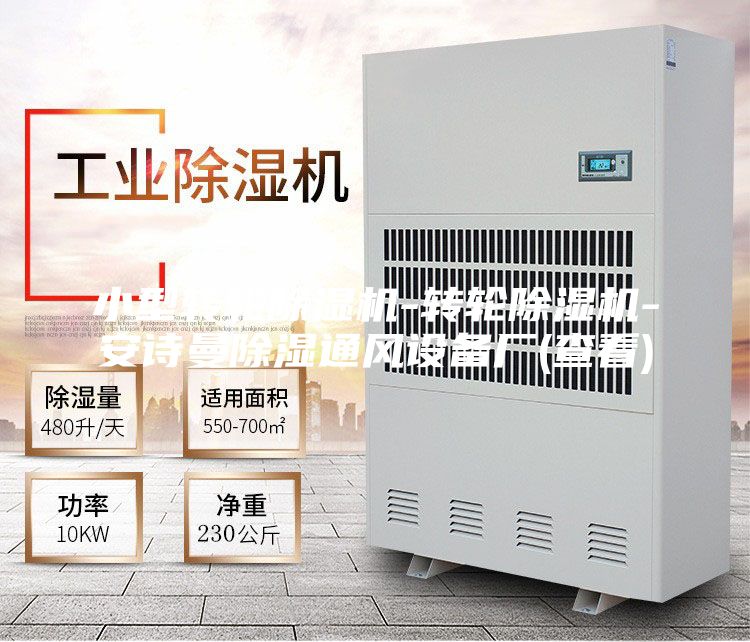 小型轉(zhuǎn)輪除濕機(jī)-轉(zhuǎn)輪除濕機(jī)-安詩(shī)曼除濕通風(fēng)設(shè)備廠(查看)