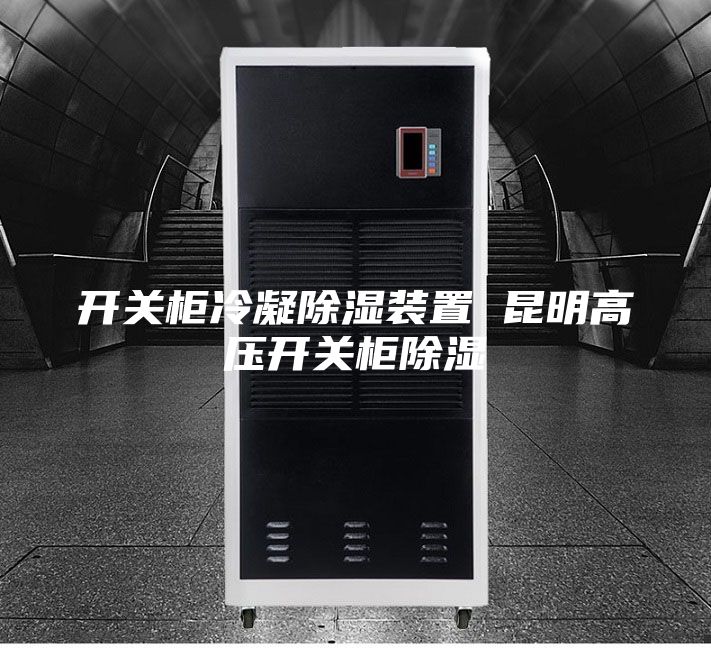 開(kāi)關(guān)柜冷凝除濕裝置 昆明高壓開(kāi)關(guān)柜除濕