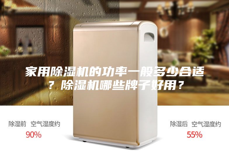 家用除濕機的功率一般多少合適？除濕機哪些牌子好用？