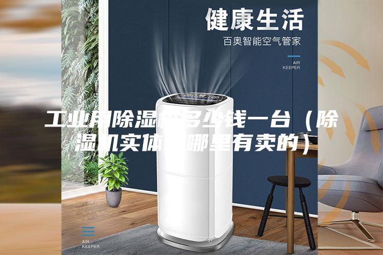工業(yè)用除濕機多少錢一臺（除濕機實體店哪里有賣的）