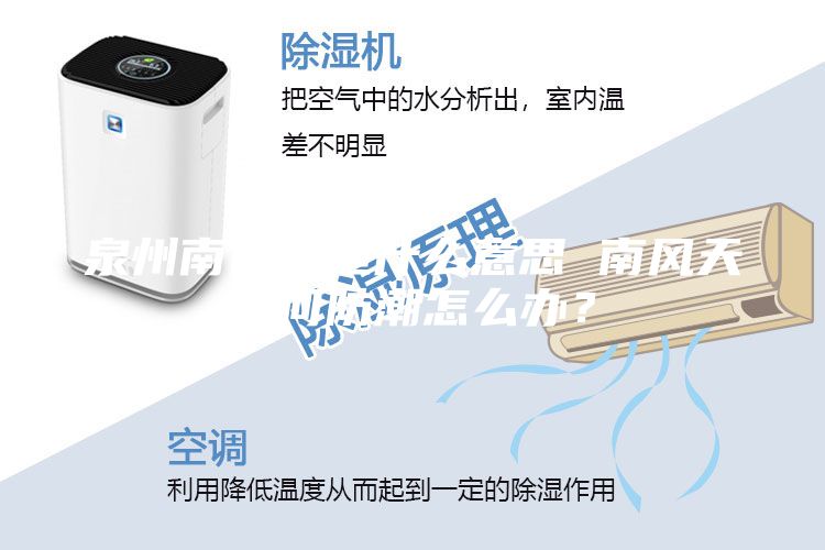 泉州南風天是什么意思 南風天如何防潮怎么辦?