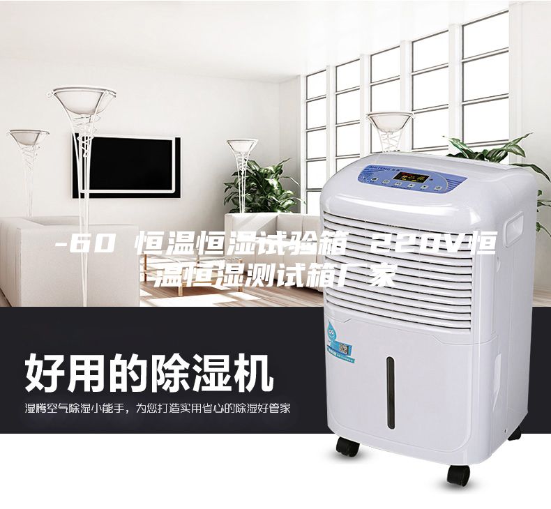 -60℃恒溫恒濕試驗(yàn)箱 220V恒溫恒濕測試箱廠家
