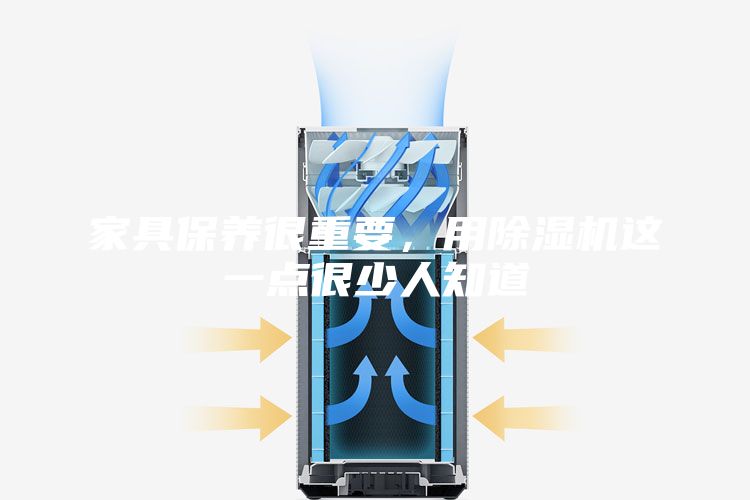 家具保養很重要，用除濕機這一點很少人知道