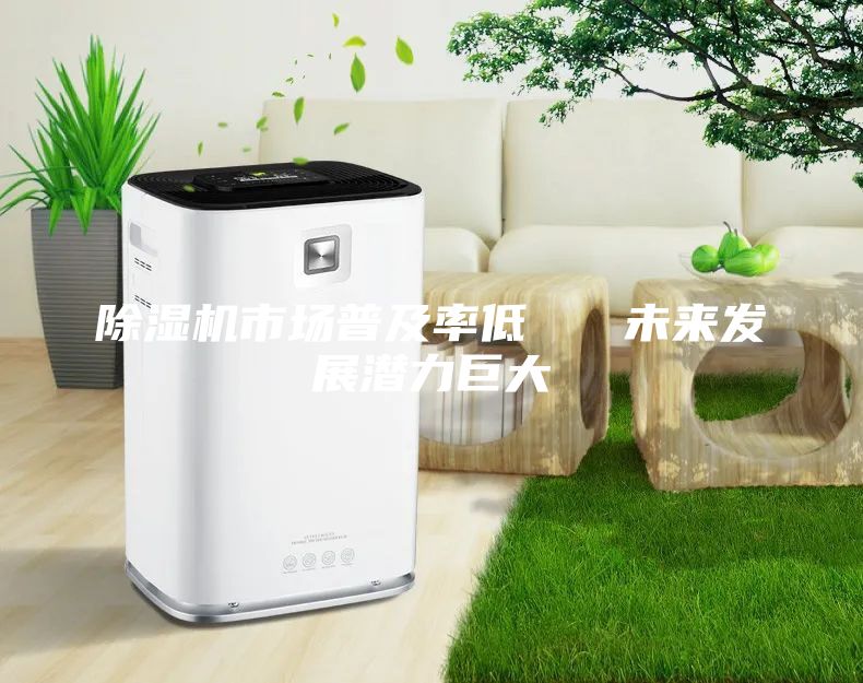 除濕機(jī)市場(chǎng)普及率低   未來發(fā)展?jié)摿薮?/></p>
                            <p style=