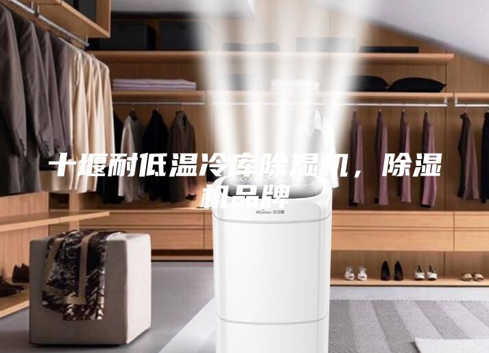 十堰耐低溫冷庫除濕機，除濕機品牌