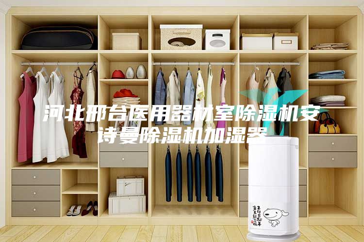 河北邢臺醫(yī)用器材室除濕機(jī)安詩曼除濕機(jī)加濕器