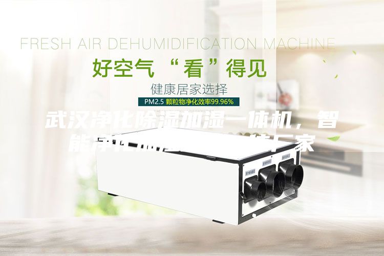 武漢凈化除濕加濕一體機,智能凈化加濕除濕一體廠家