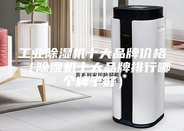 工業(yè)除濕機(jī)十大品牌價(jià)格(除濕機(jī)十大品牌排行哪個(gè)牌子好)