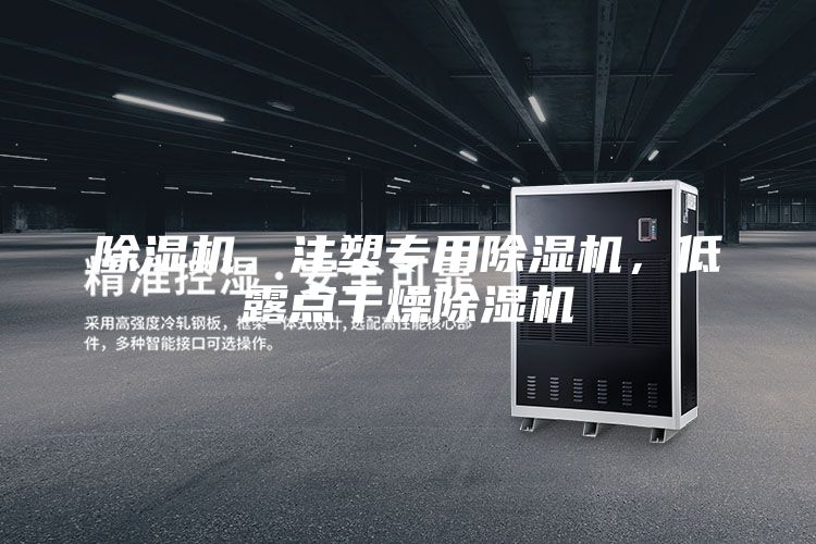 除濕機(jī),注塑專用除濕機(jī),低露點(diǎn)干燥除濕機(jī)