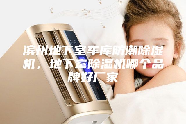 濱州地下室車庫防潮除濕機,地下室除濕機哪個品牌好廠家