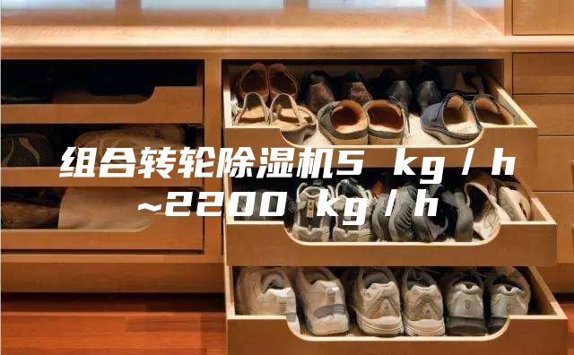 組合轉(zhuǎn)輪除濕機(jī)5 kg/h~2200 kg/h