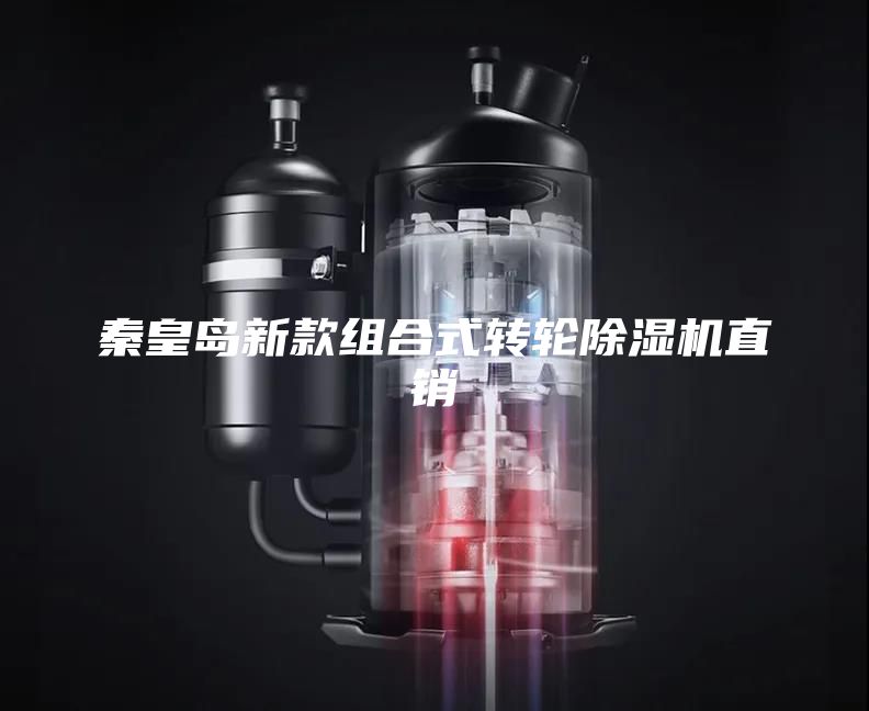 秦皇島新款組合式轉(zhuǎn)輪除濕機直銷