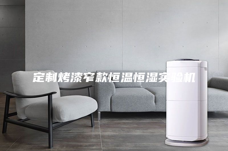 定制烤漆窄款恒溫恒濕實(shí)驗(yàn)機(jī)