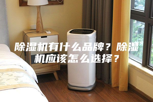 除濕機有什么品牌？除濕機應該怎么選擇？