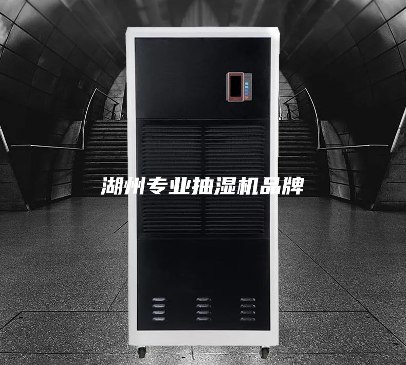 湖州專業抽濕機品牌