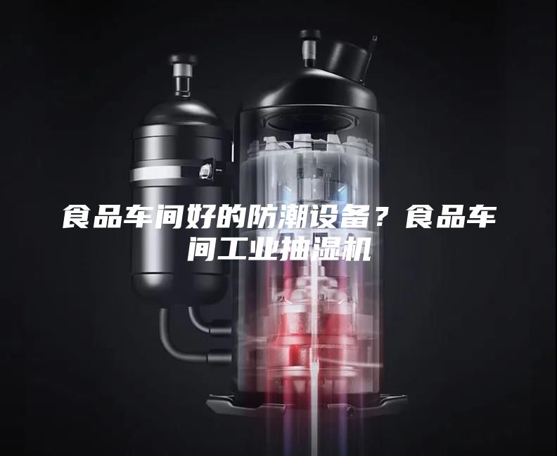 食品車間好的防潮設備？食品車間工業抽濕機