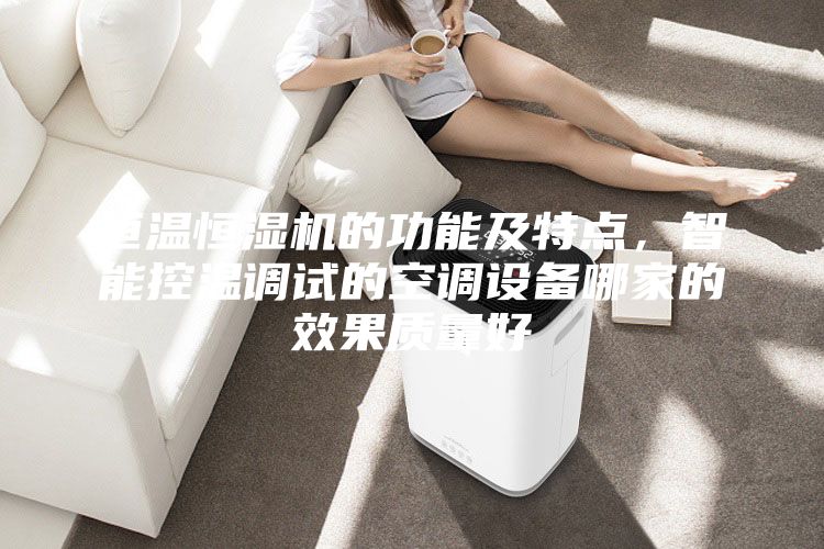 恒溫恒濕機的功能及特點，智能控溫調試的空調設備哪家的效果質量好