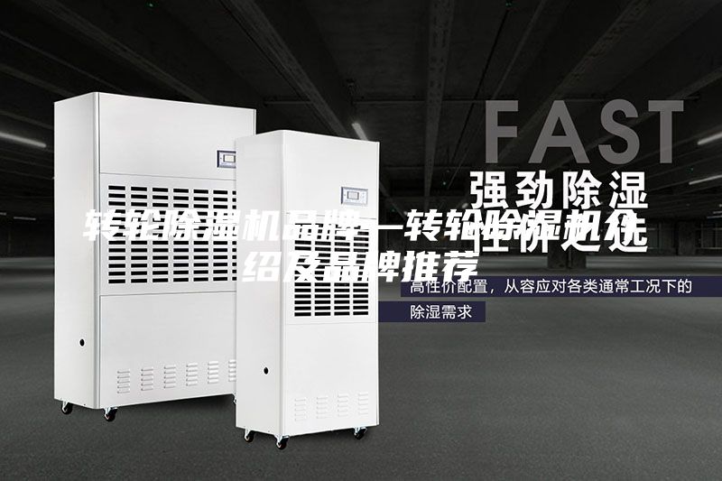 轉輪除濕機品牌—轉輪除濕機介紹及品牌推薦