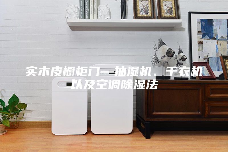 實木皮櫥柜門—抽濕機、干衣機以及空調(diào)除濕法