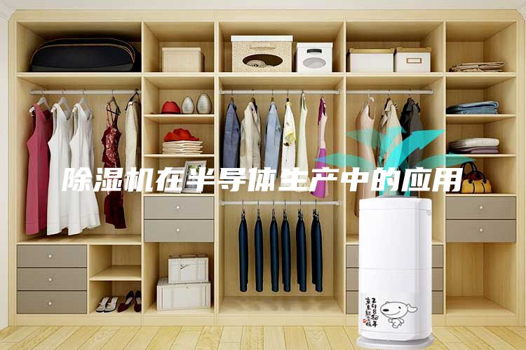 除濕機在半導(dǎo)體生產(chǎn)中的應(yīng)用